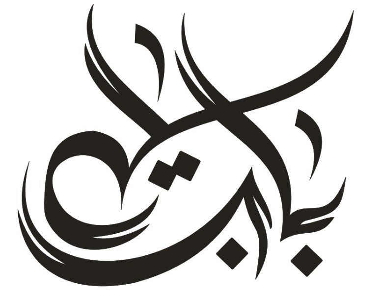 Babar Saleem -